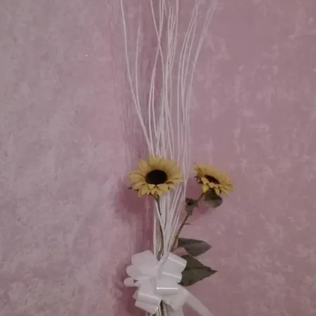 A Casa Di Anna Bed and Breakfast