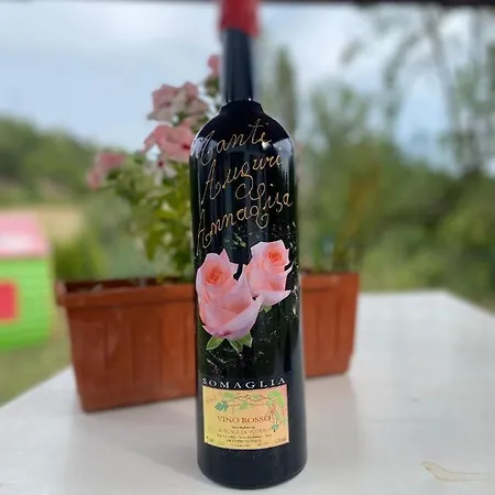 A Casa Di Anna Bed & Breakfast 4*